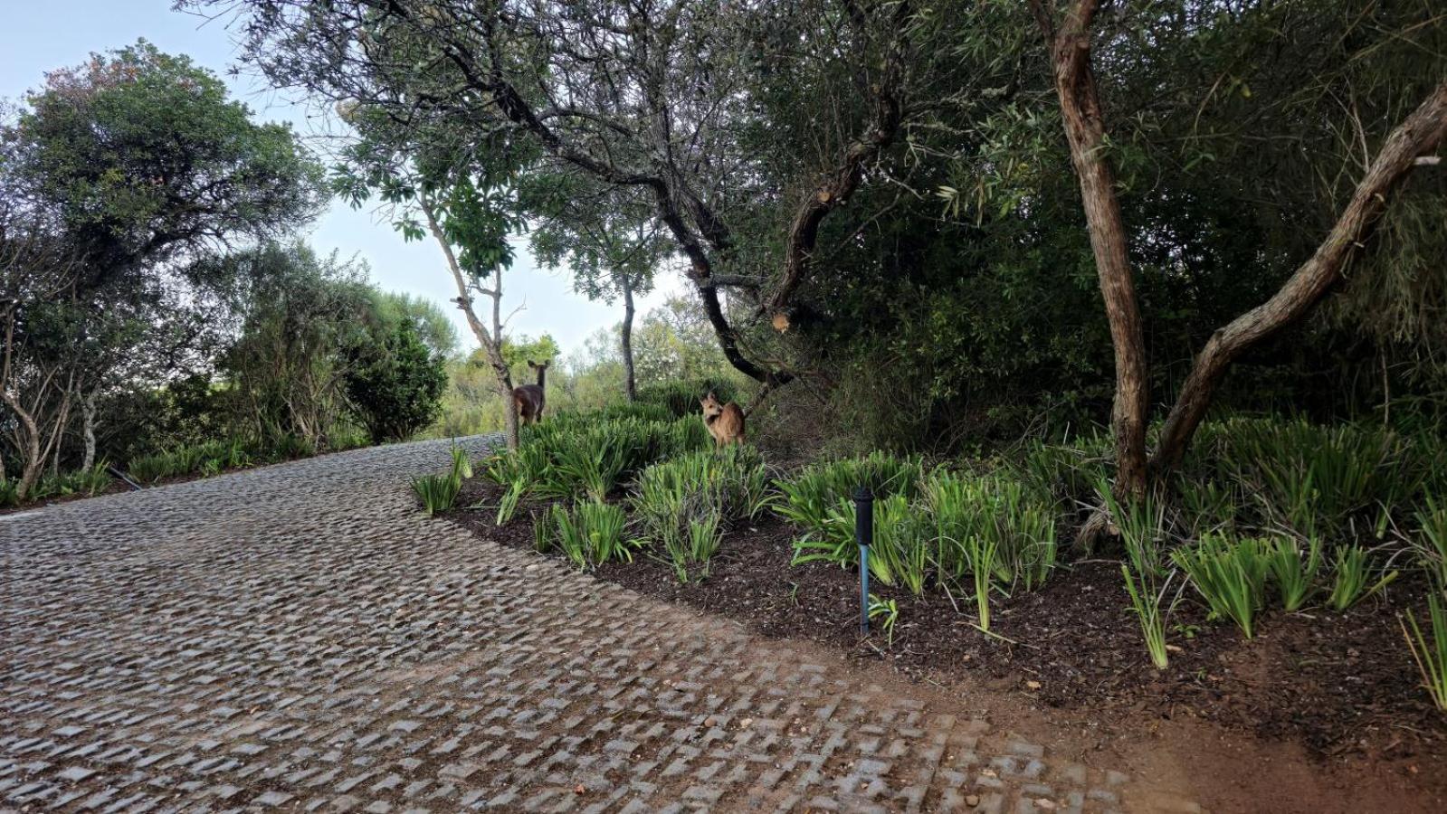 Villa Oubaai By Raw Africa Collection *